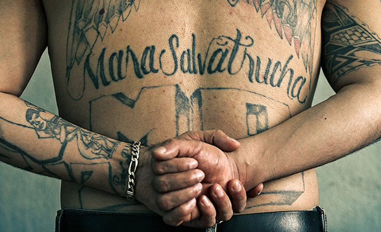 mara-salvatrucha