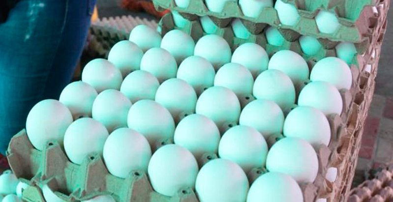 El precio del huevo sigue a la baja, una buena noticia para los consumidores