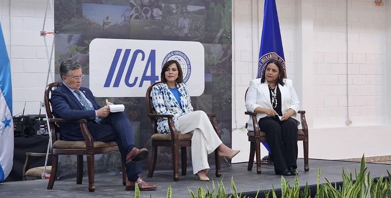 IICA Honduras realiza rendición de cuentas