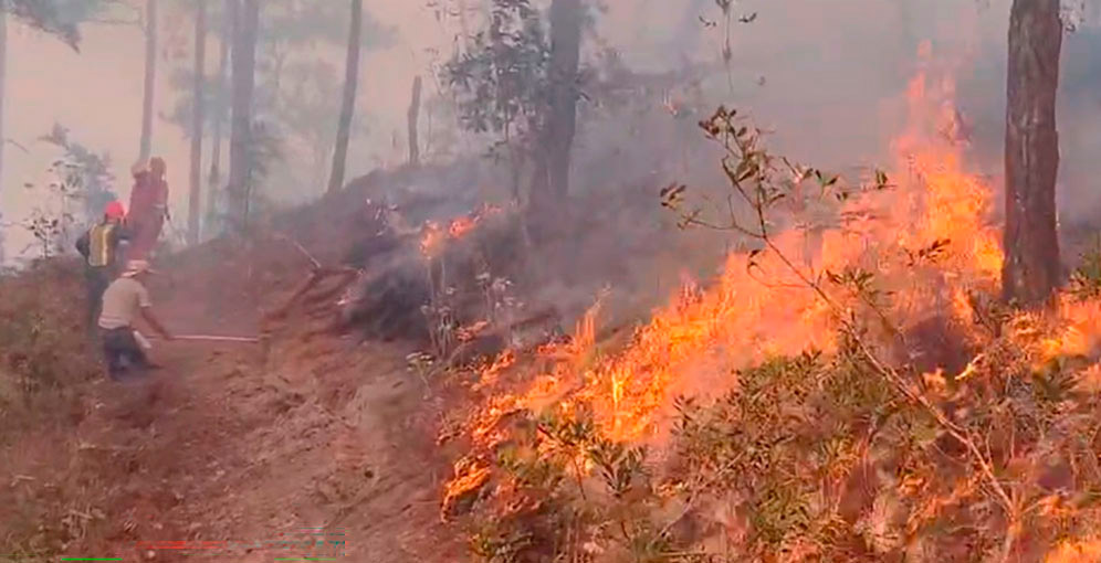 Nuevo incendio forestal en el Parque Nacional La Tigra