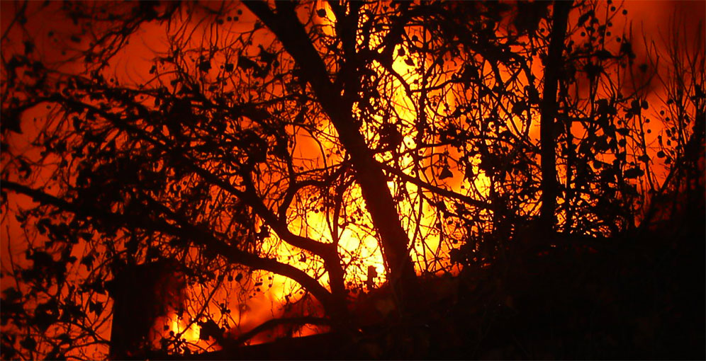 Los incendios forestales en Honduras dejan más de 208.000 hectáreas de bosque afectadas
