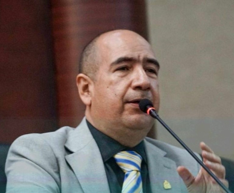 Vicepresidente del Congreso propone ampliar licencia postnatal de 42 a 65 días