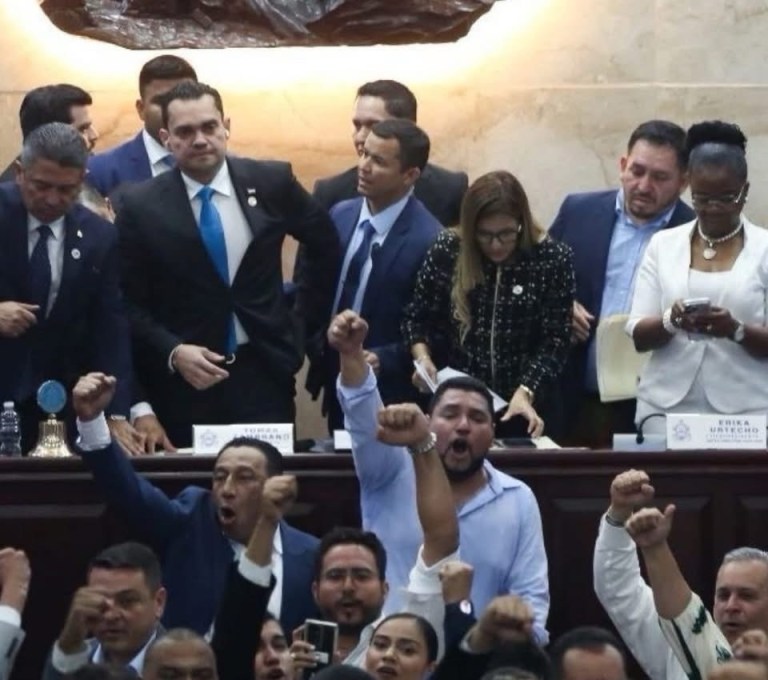 Tomás Zambrano restringe protesta de Libre en el Congreso y aviva señalamientos de doble discurso