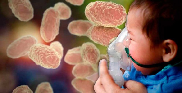 Alerta sanitaria en Honduras: tosferina provoca la muerte de 10 bebés